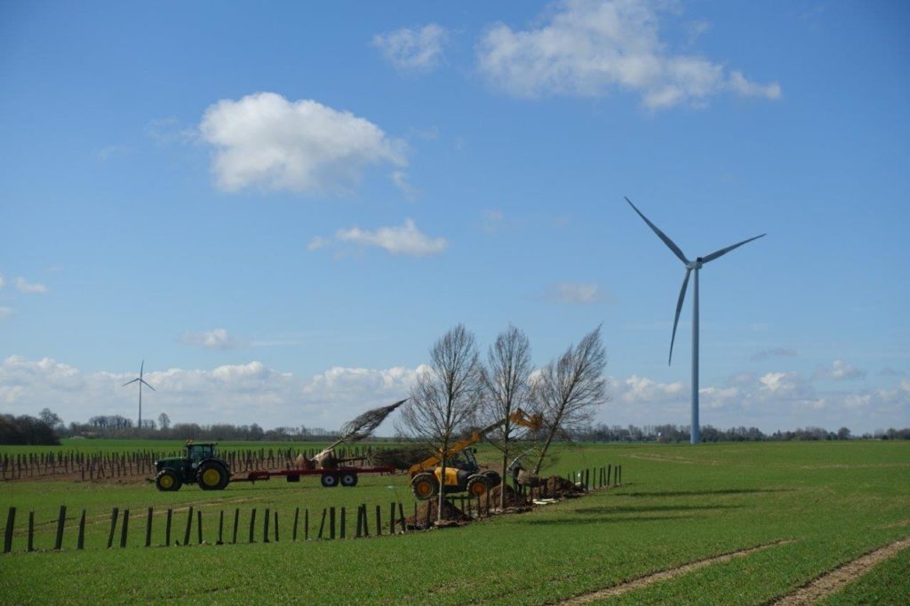 Agroforesterie Hauts De France Site Expérimental De Ramecourt Projet Expérimental En 0615