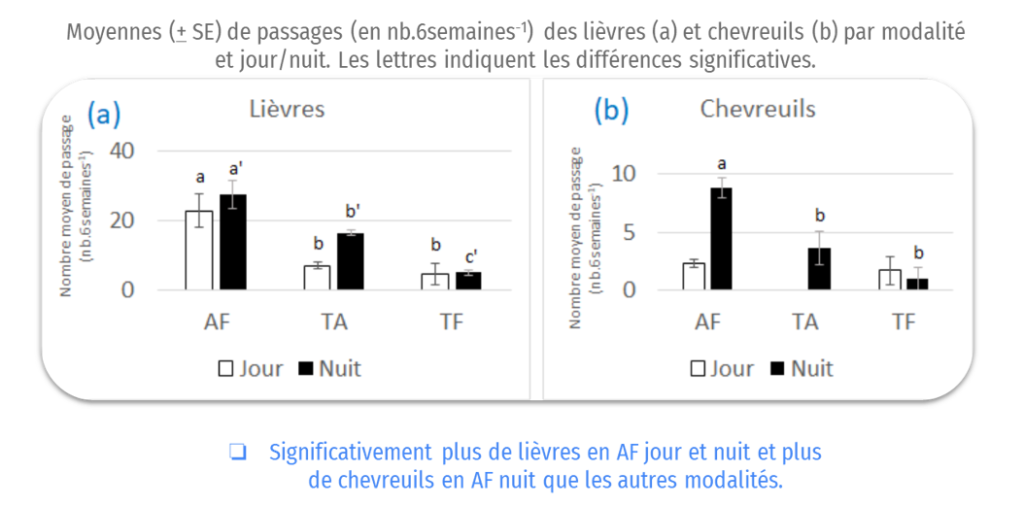 L’attribut alt de cette image est vide, son nom de fichier est image-1024x506.png.